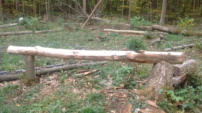 Two stumps can support log during debarking.